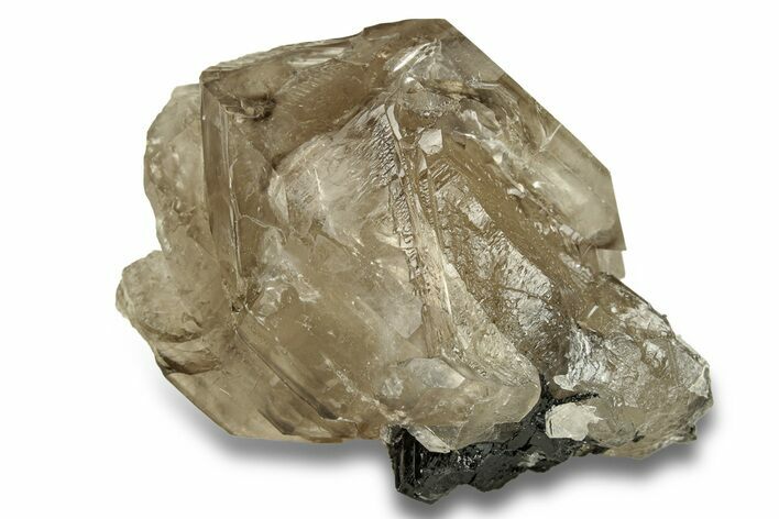 Lustrous Smoky Elestial Quartz with Tourmaline - Brazil #256442